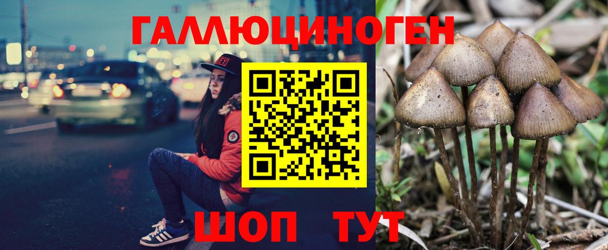 Псилоцибиновые грибы Psilocybine cubensis  Вход с VPN  Щёлково  Галлюциногенные грибы Psilocybe 
