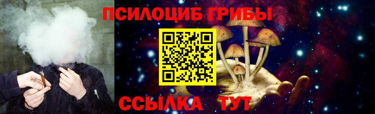 Галлюциногенные грибы Magic Shrooms Щёлково